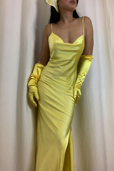 Crystal Lemon  Mulberry Silk Dress